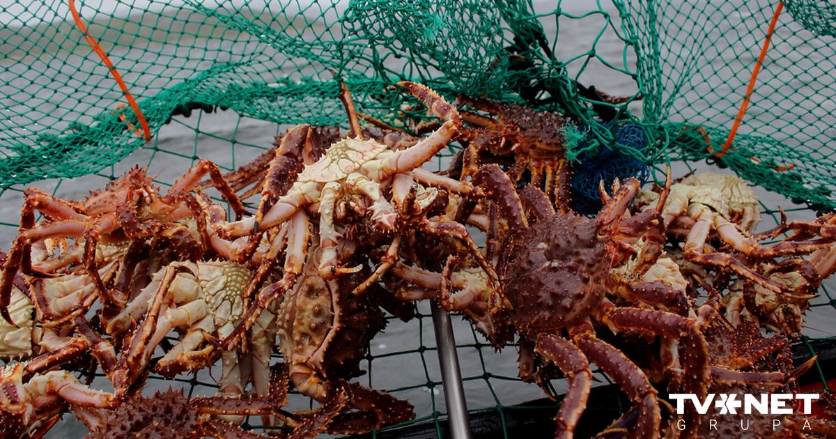 Forsvarsdepartementet gjør oppmerksom på Norges fiskerivirksomhet, som er rettet mot EUs interesser