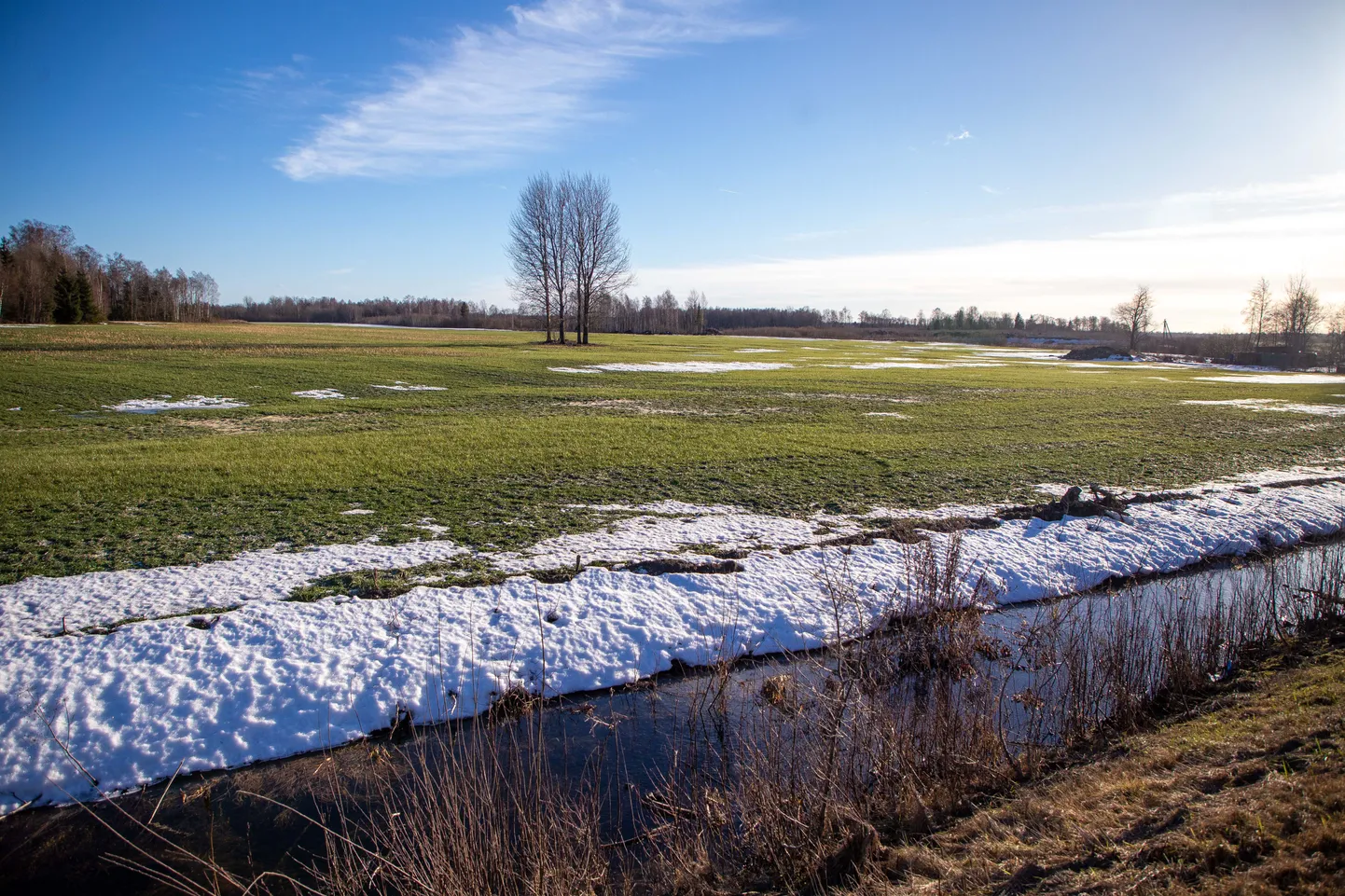 Järvamaa loodus.

Foto: Dmitri Kotjuh/ Järva Teataja