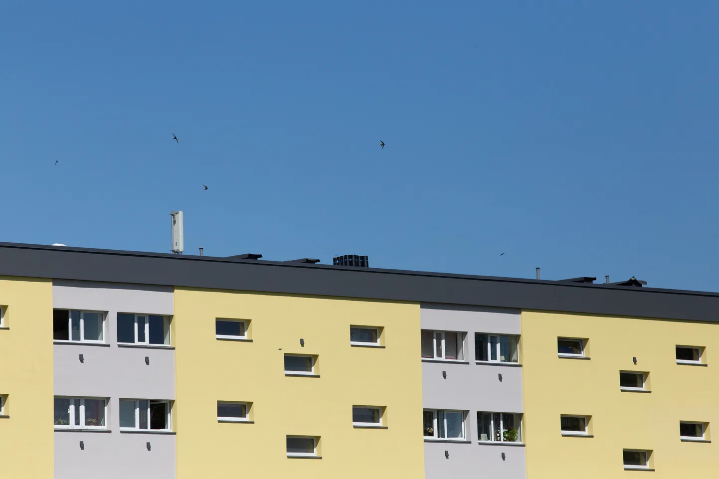 Pilt on illustratiivne.