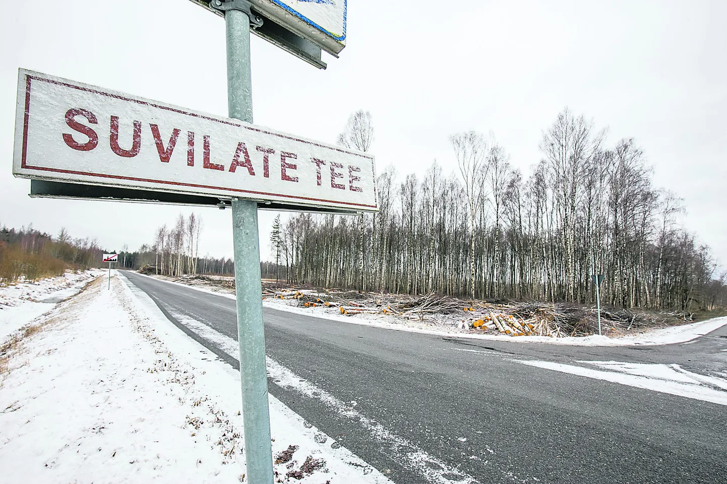 Linnaäärses metsatukas on raietööd praeguseks peatatud ja uurimine selgitab, kas tööd võib peagi jätkata.