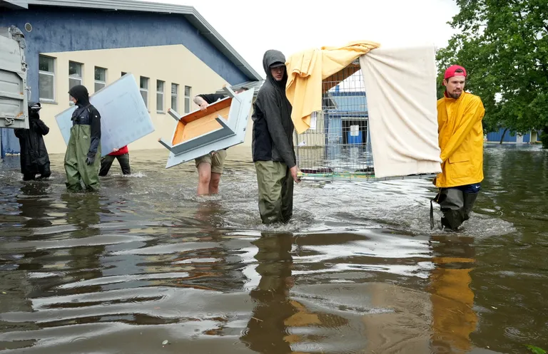 Evacuation of animals from the flooded animal shelter in Jelgava, under the supervision of the Clinical Institute of the Faculty of Veterinary Medicine of the Latvian University of Life Sciences and Technology.