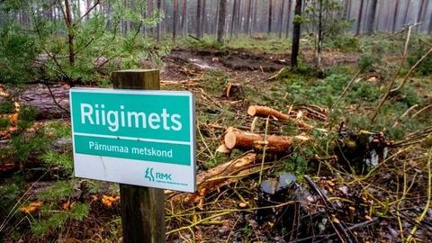 Erakondade Vox Populi ⟩ Kuidas Eesti riigimetsade majandamist reformida, et riik saaks puidu eest turuhinda ning oleks välditud ka metsade üleraiumine?