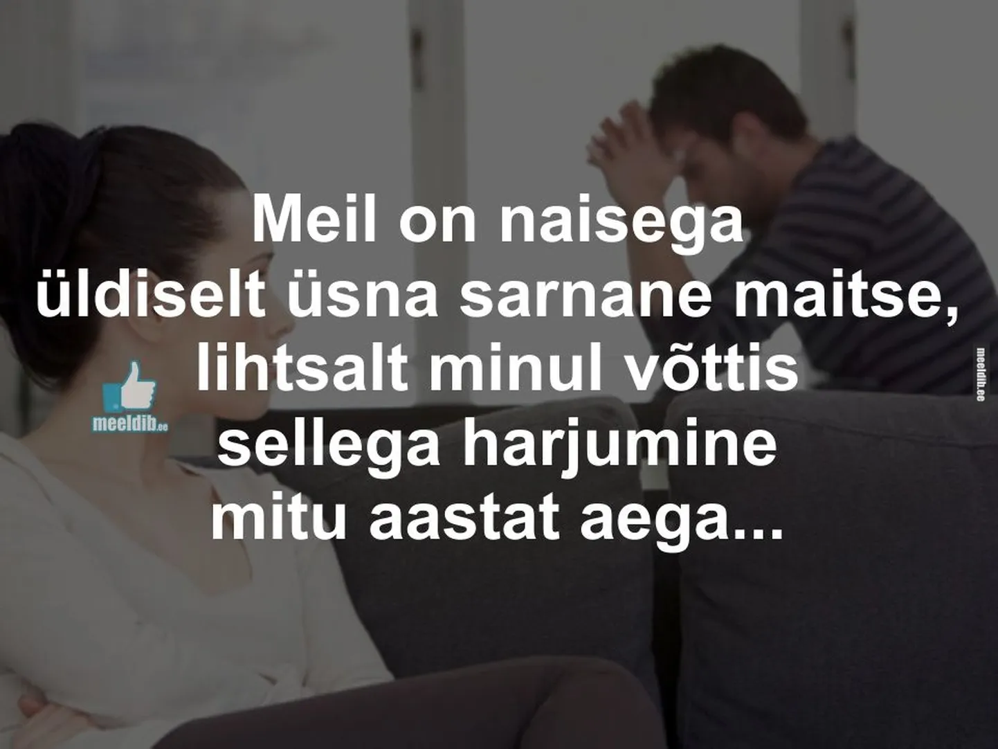 Artikli foto