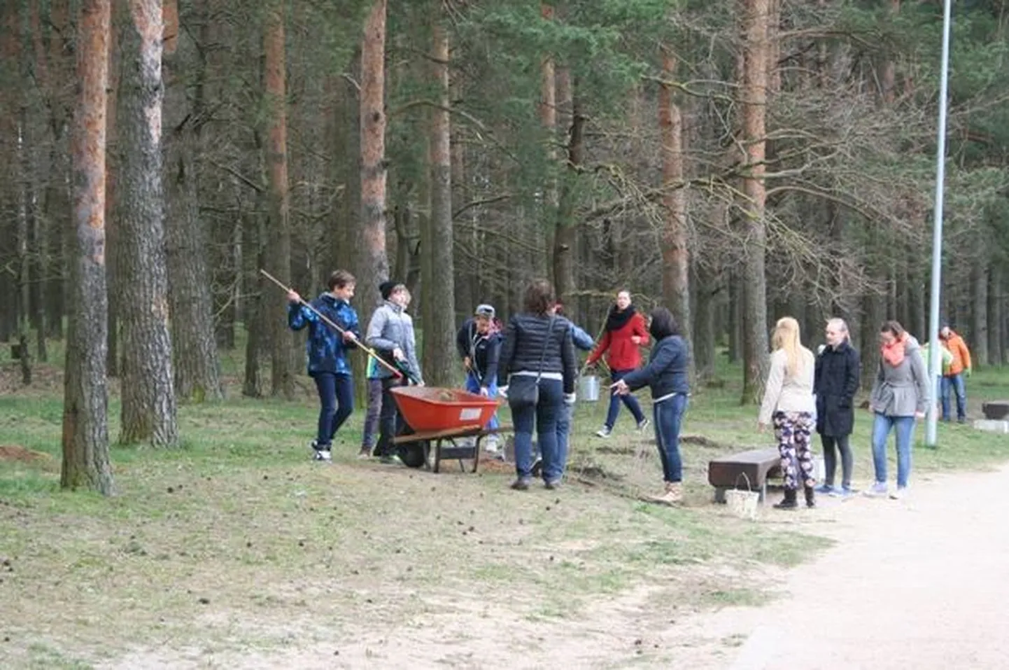 Raksta foto
