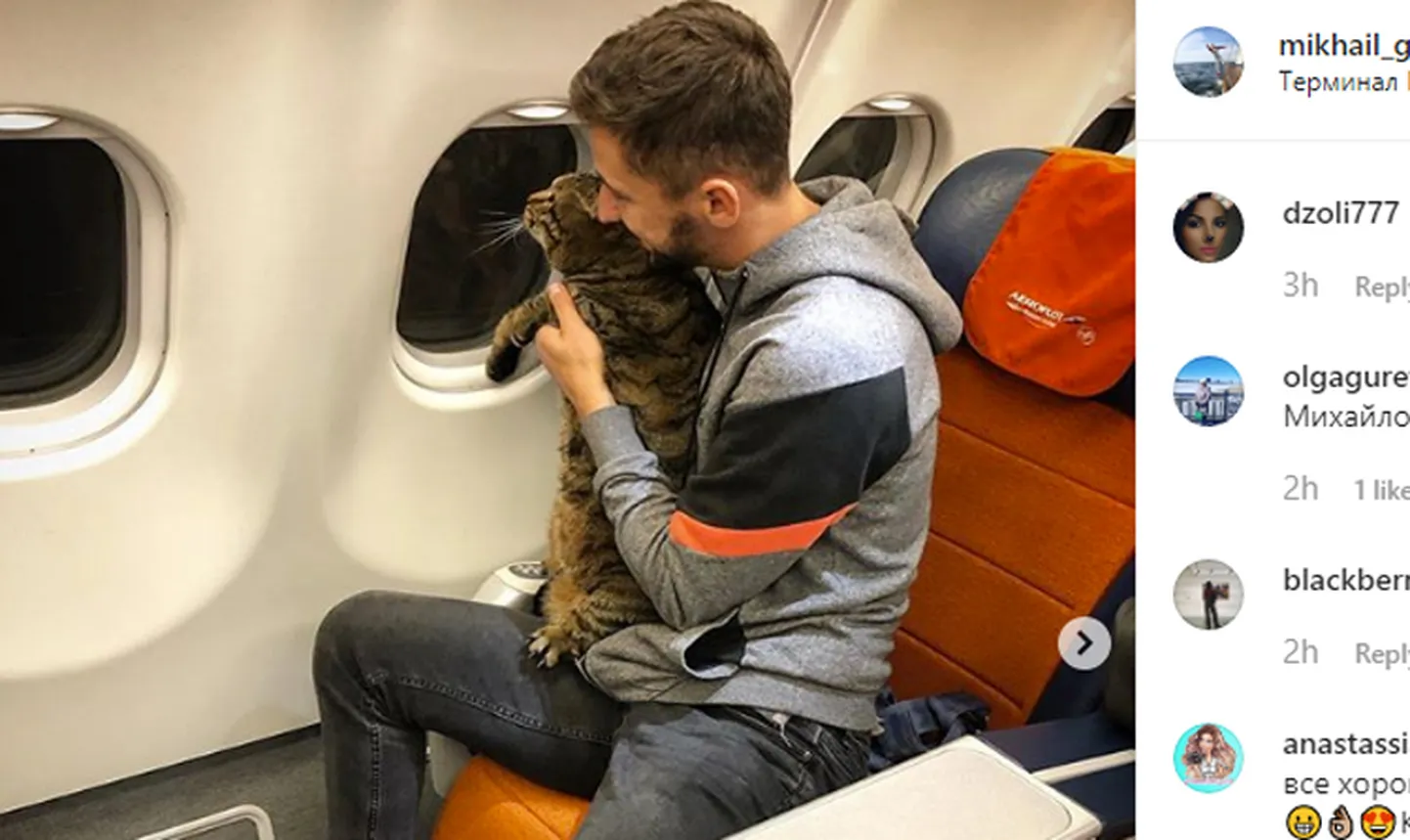 Raksta foto