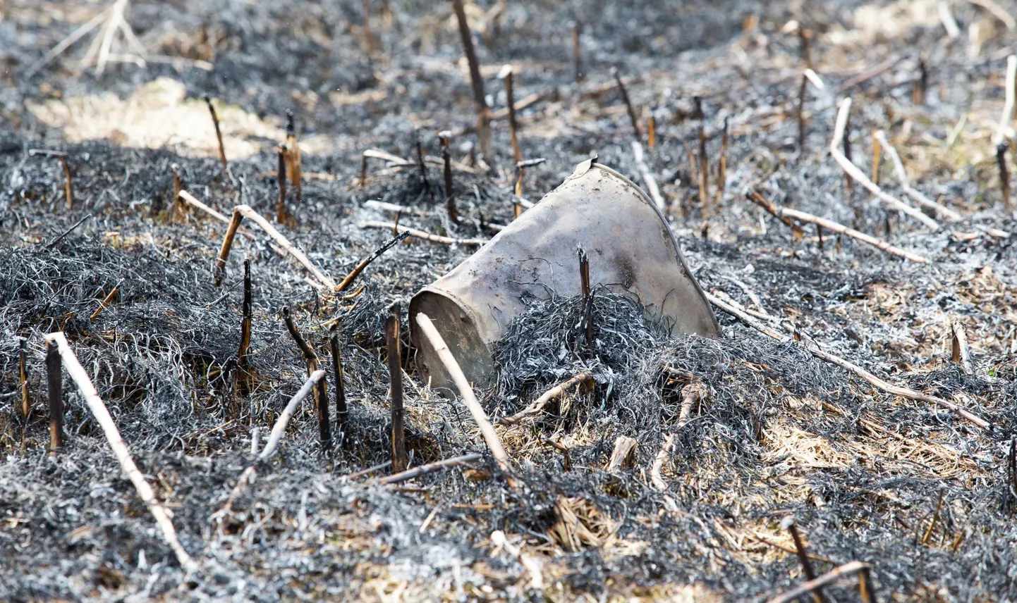 Päästjad käisid Tartumaal tänavust esimest kulupõlengut kustutamas 8. aprillil Puhja lähedal Rämsi külas. Mõtlematust teost jäi järele must maa, hukka sai miljoneid putukad.