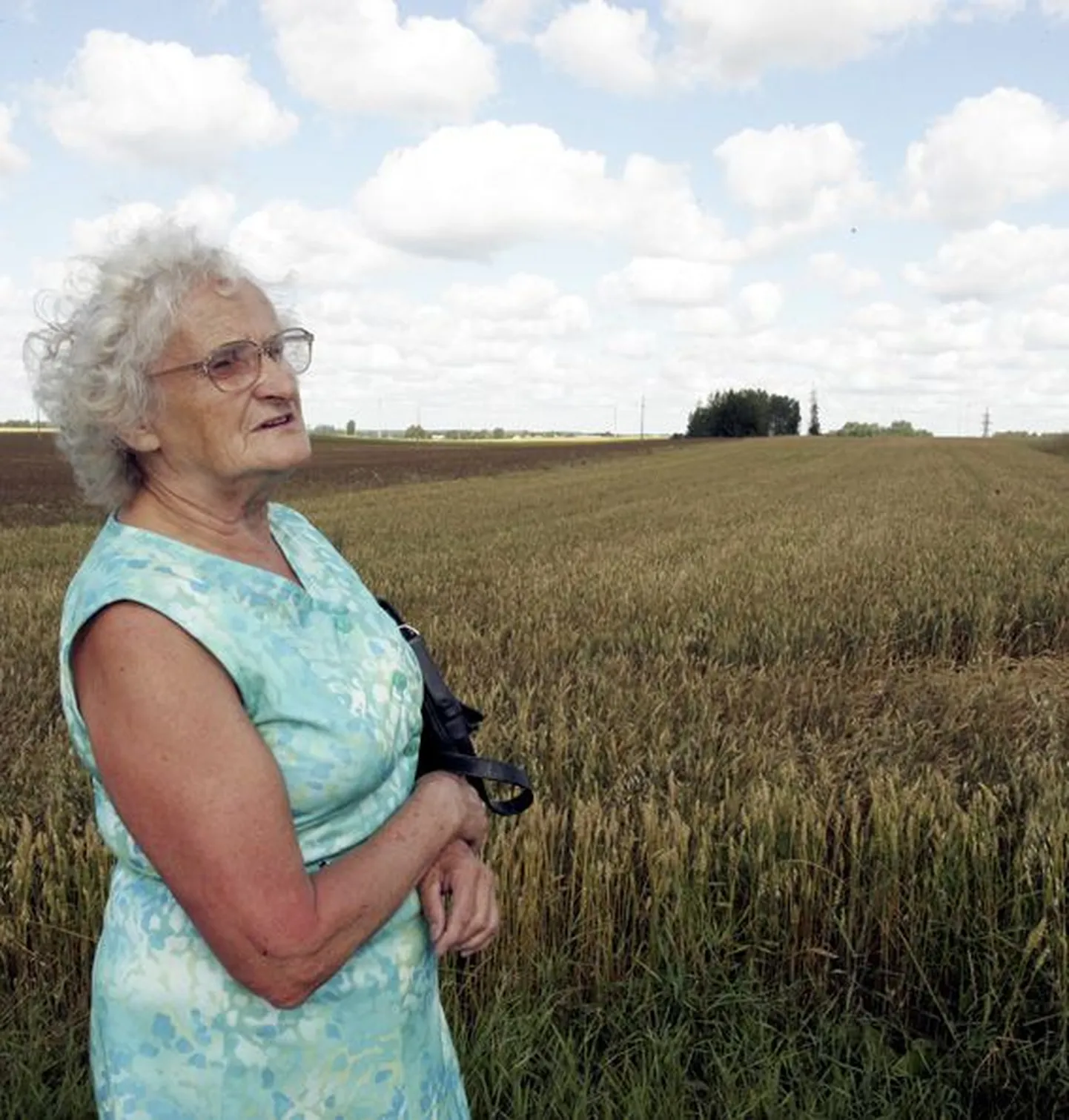 Assamalla küla elanik ja koduloouurija Eevi Geidik Kullenga viljapõllu ääres, kus asub 1941. aasta sõjasuvel langenud ukraina rahvusest punaarmeelaste ühishaud.