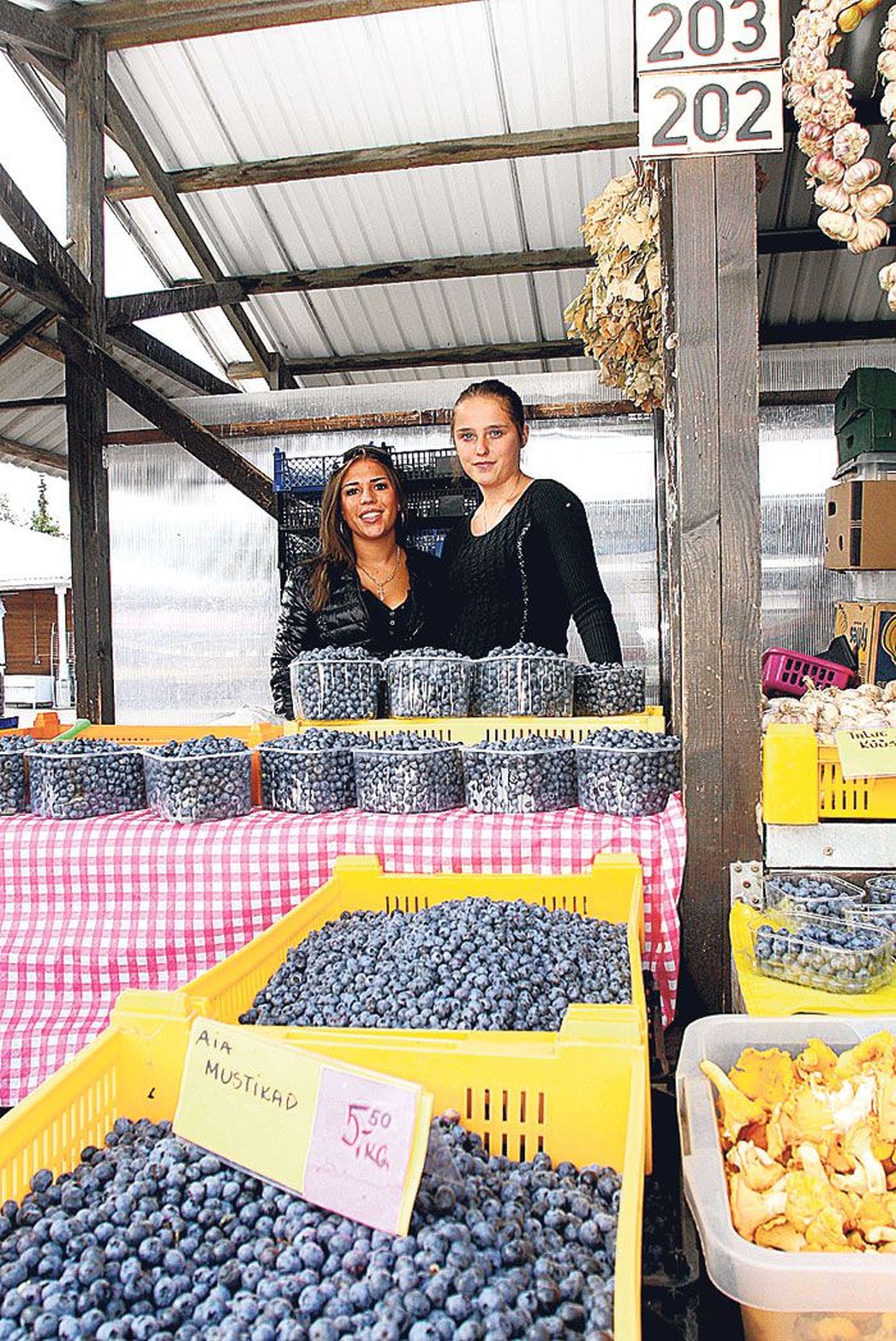 Simone (vasakul) ja Karina müüsid turul mustikaid.