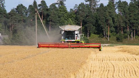Põllumehed saavad 20 miljonit eurot toetust