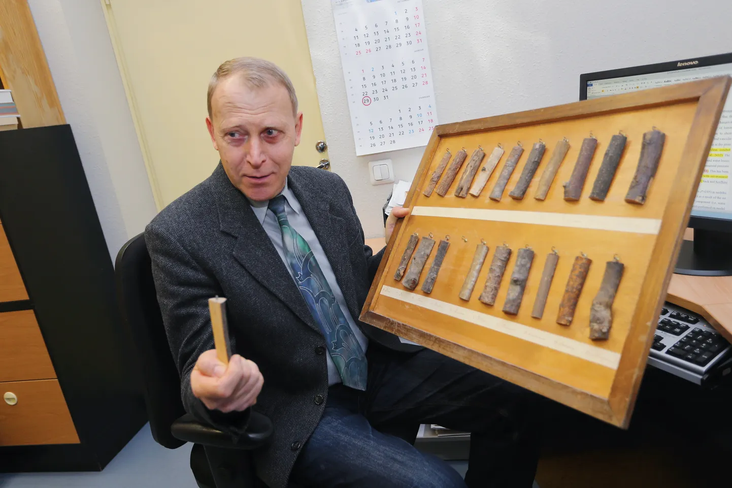 Professor Arne Sellin