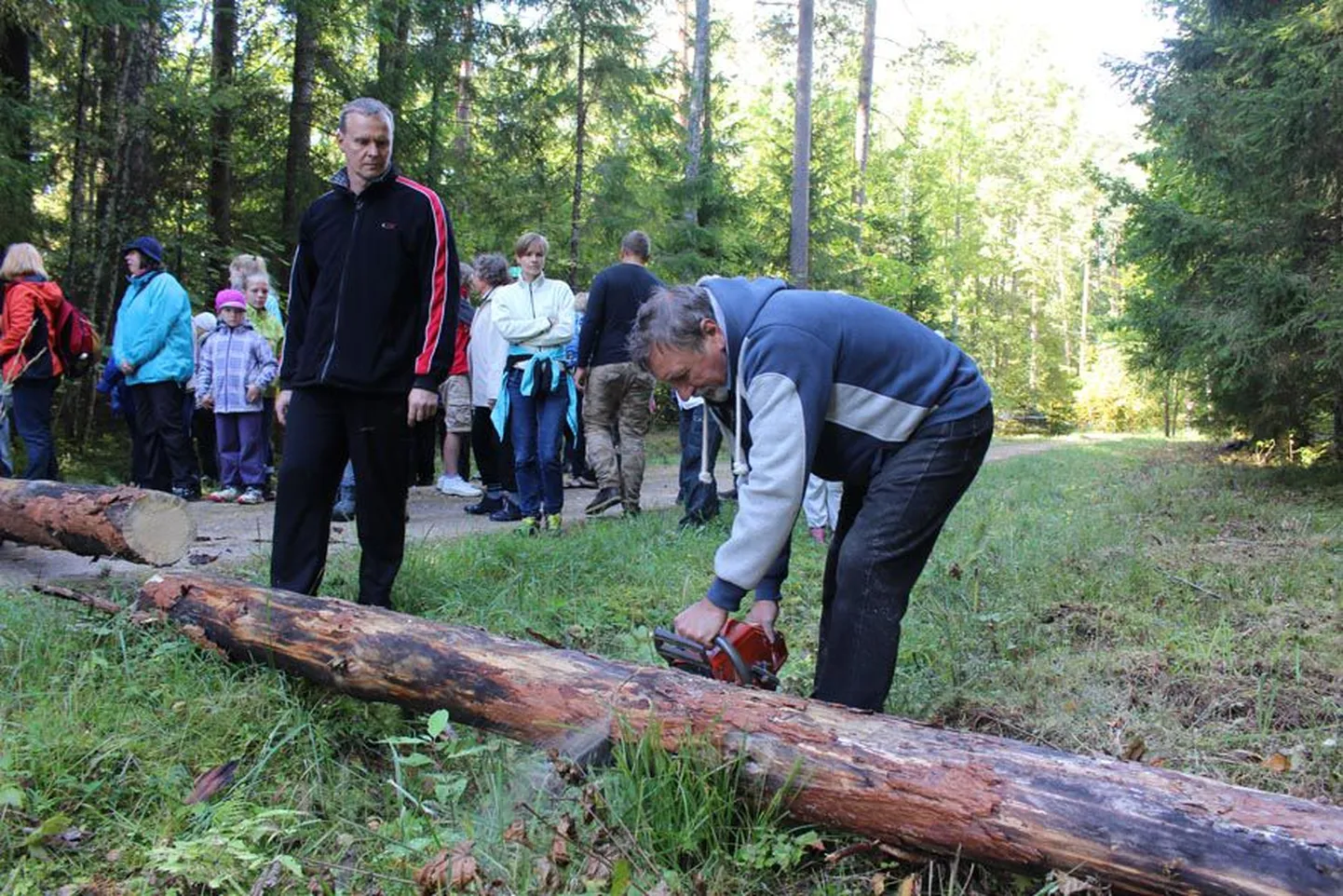 Nii nagu aastakümneid varem, oli eelmisel laupäeval Tõrvaaugus jälle kord metsapäev. Seda juba 22. korda ning väljakuulutatult metsa- ja matkapäev.
Metsatöötajate päeva ehk siis metsapäeva on ikka peetud tänupühana neile, kes on metsa istutanud, kasvatanud ja hooldanud, seda mõistlikult hoidnud ja kasutanud sajandite jooksul. 
Kui pika ajalooga üritust on Tõrvaaugus ikka avanud Kabala metsaülem. Jaan Joandi kirjutab «Kabala metskonna ajaloolises kroonikas»: «Tõrvaaugu on Kabala metsaülemate põline asukoht. See nimi on rahva seas nii tuntud, et ametliku Kabala nime asemel tihti öeldakse Tõrvaaugu metskond ja Tõrvaaugu metsaülem.»
2008. aastast saati teeb seda Rassi külaseltsi juht, sest sama aasta alguses sai pikaaegsest Kabala metsaülemast Elor Ilmetist pärast järjekordset metsandusreformimist Viljandi metsaülem, kuid Rassi külaseltsi juhina tegutseb Ilmet nüüdki.
Nii nagu varem, sisustasid pikka päeva mitmesugused võistlused, metsamatkad, töötoad, mälumäng. Avatud oli muuseumituba endise Kabala metskonna kontoris. 
Veel sai uudistada vigursaagija Enrico Pelti sae all valmivat Vanapagana skulptuuri. Tutvuda seeneteadlase Külli Kalamehe üles seatud seenenäitusega ja otsida koos temaga seeni. Jälgida tõrvaajamist. Proovida, kuidas maitsevad värskelt praetud tindikud ja kukeseened.
Elor Ilmeti selgitusel ei korraldata Rassi metsapäeva üksnes metsatöötajate päeva tähistamiseks, vaid ka küla tavade hoidmiseks. Huvilisi jagus lähedalt ja kaugelt, ilmselt üritus ei kao.