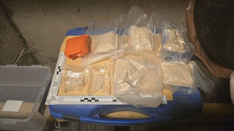 Prokuratuur kaebas kohtusse suure narkokaubanduse juhtumi