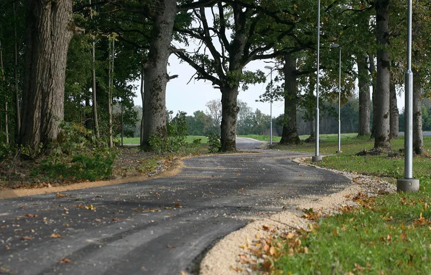 Kergliiklustee