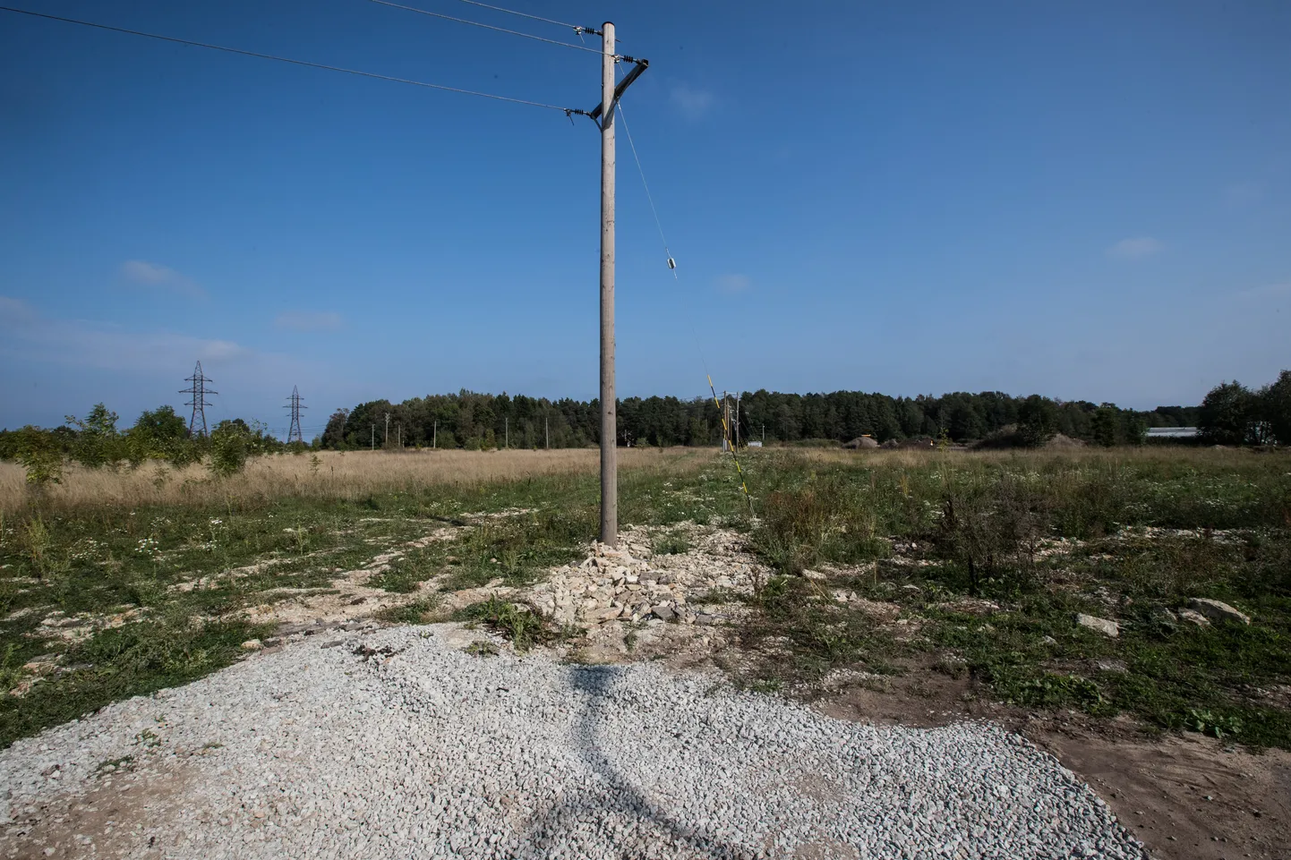 Denisa Metsavasa aizturēšanas vieta