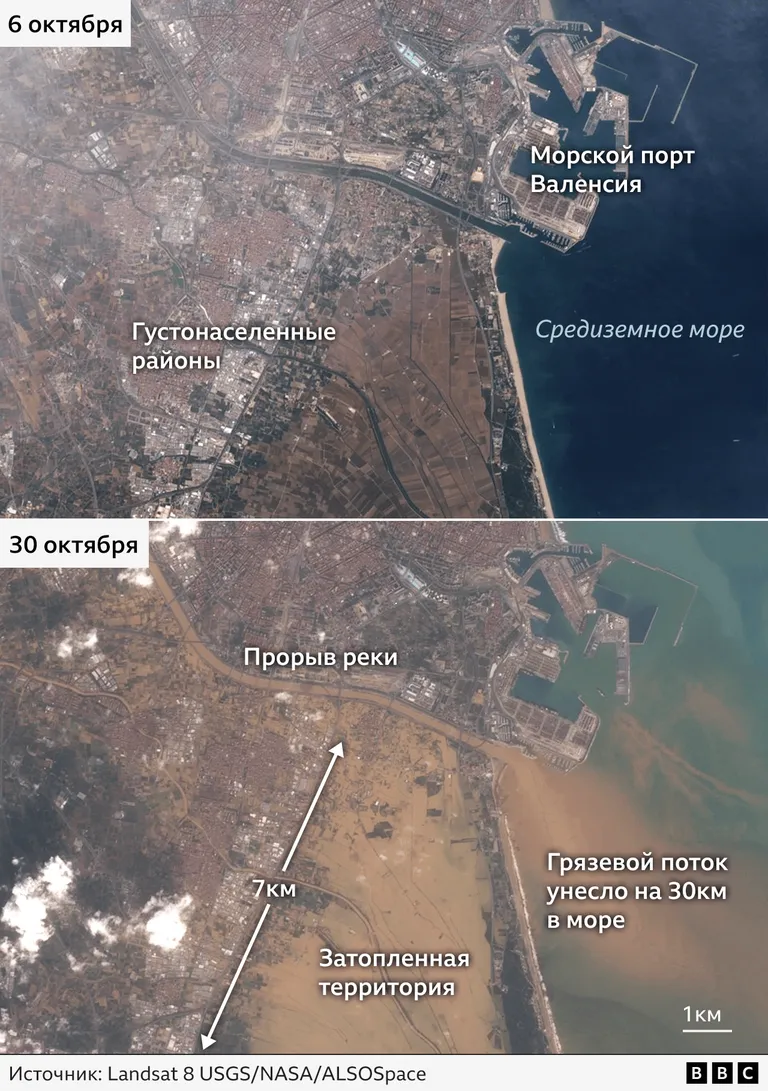 Фото статьи