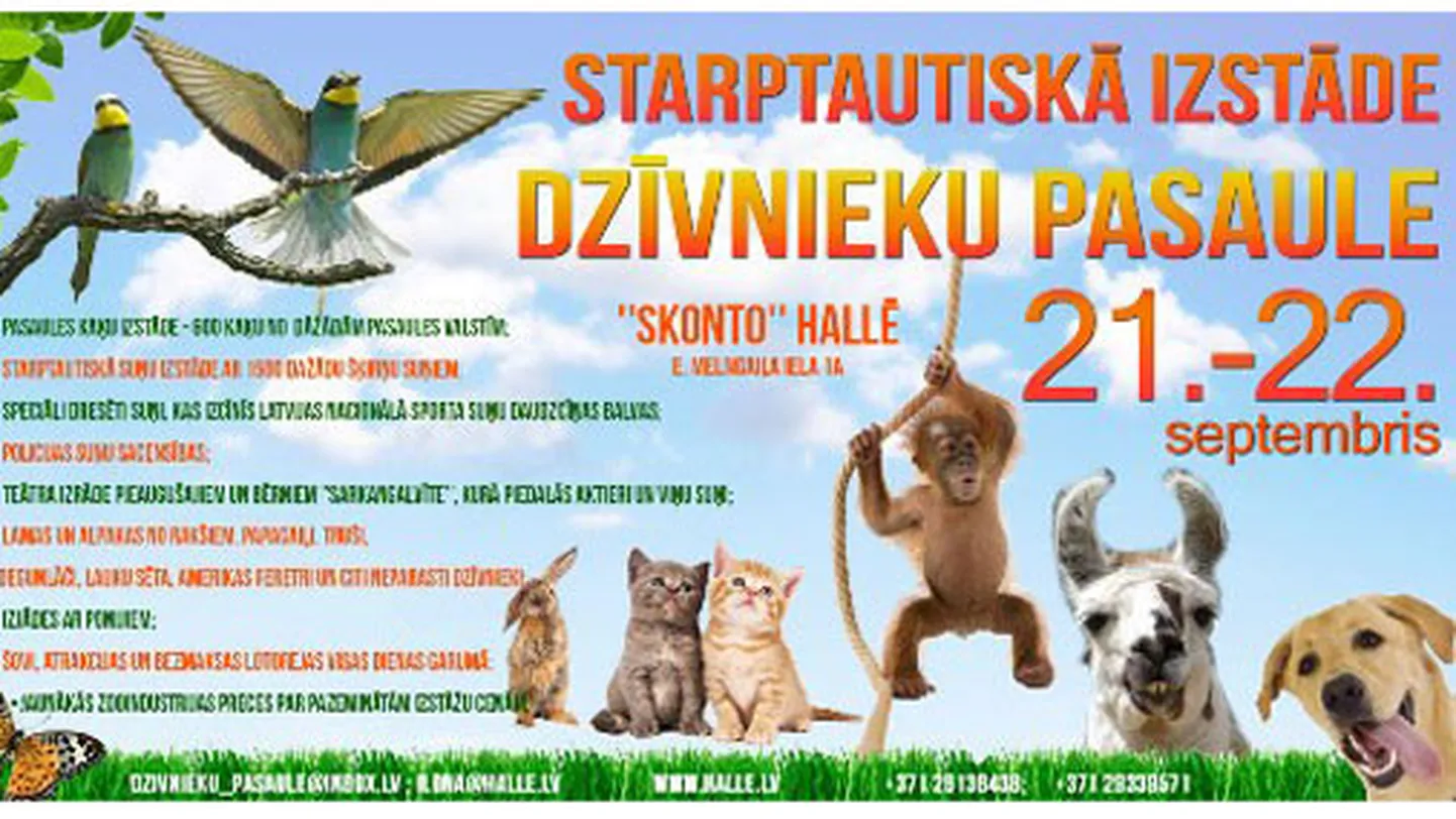 Raksta foto