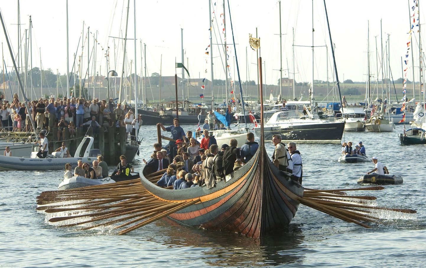 Roskildes viikingimuuseumi alus Skuldelev 2 on Sterni laevaplaanide eeskujuks.