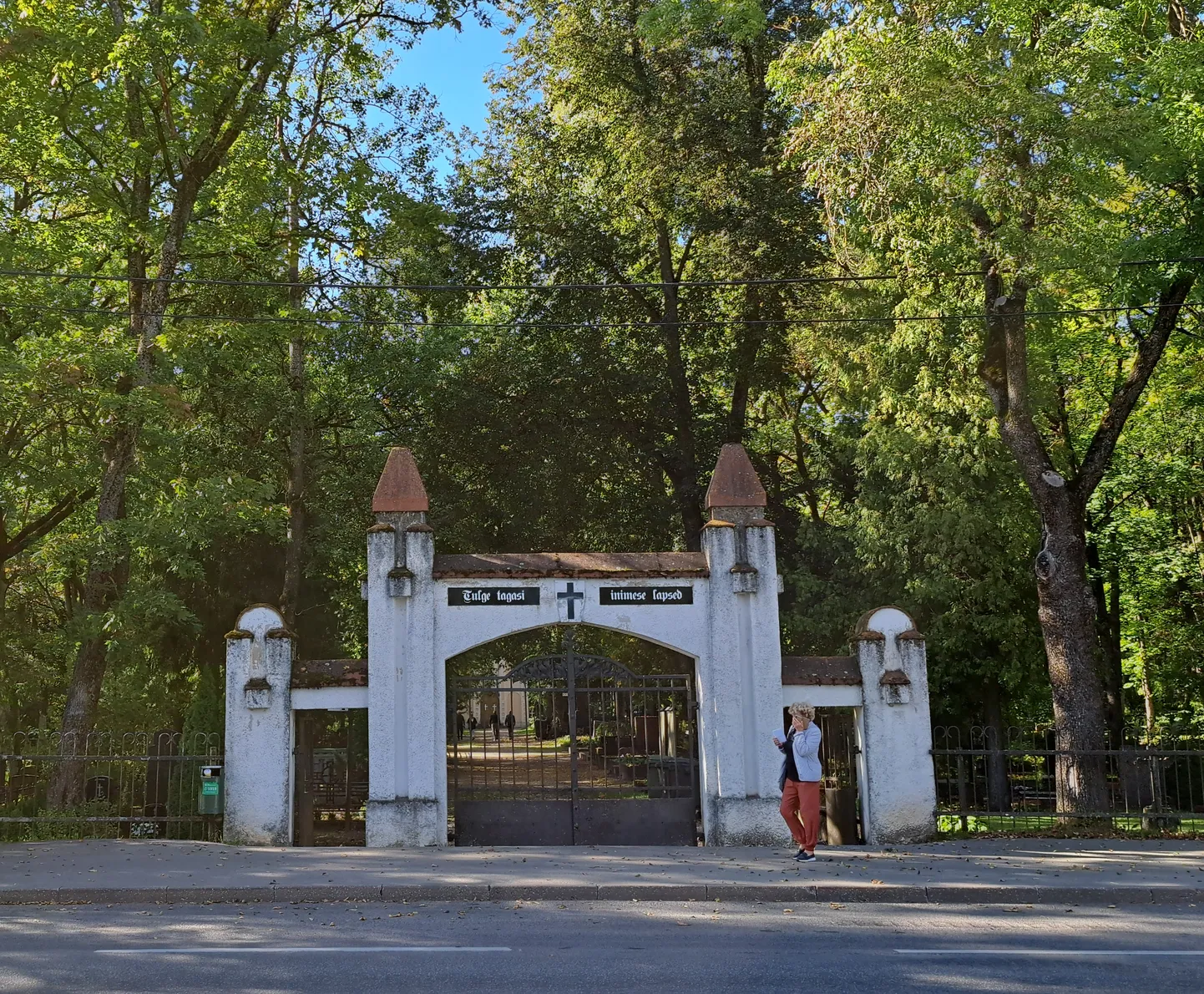 Фото статьи