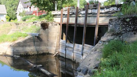 Vana veskitamm Pärlijõel läheb lammutamisele