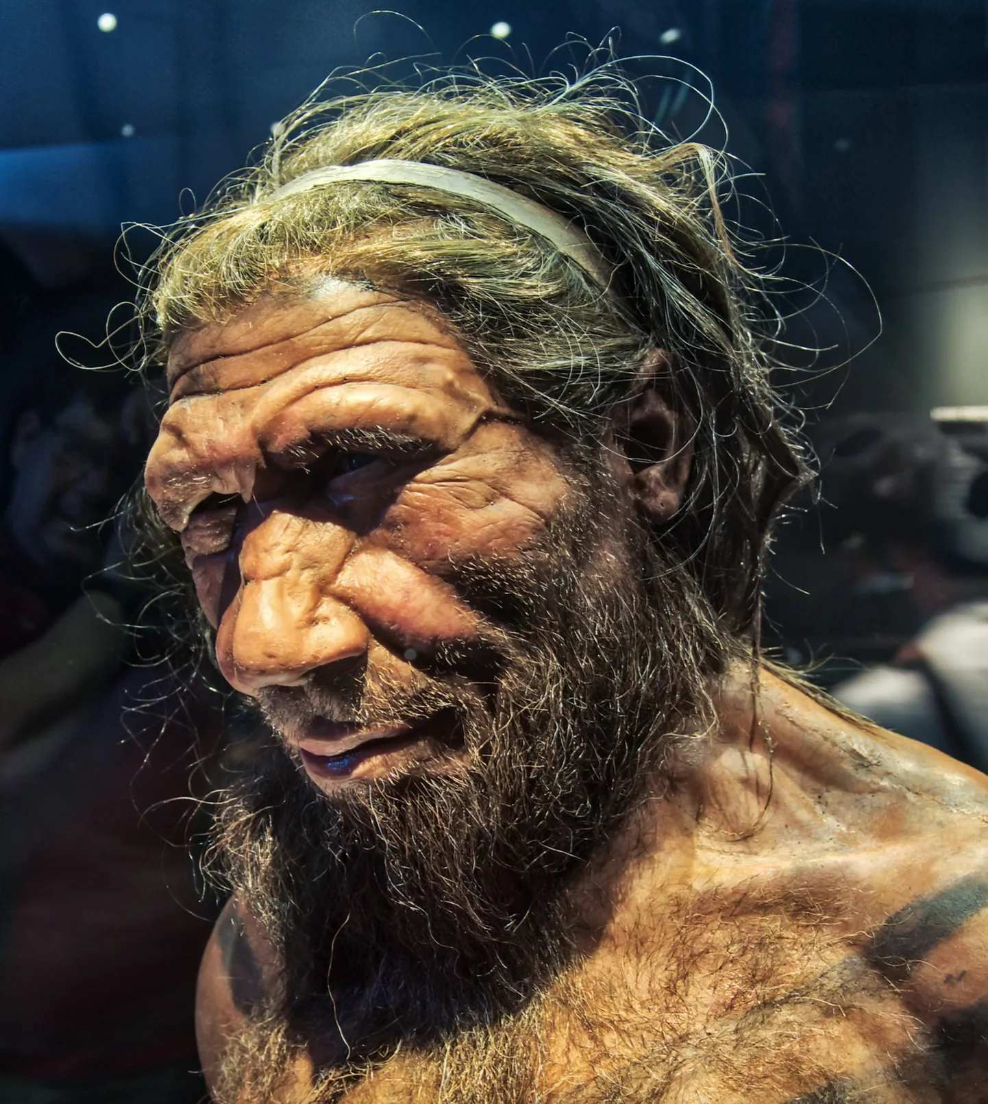 Suuremate ajudega ning füüsiliselt tugevamad neandertali inimesed kadusid ühtäkki ja nende asemel võtsid koha sisse Homo sapiens'id. Miks see nii läks?