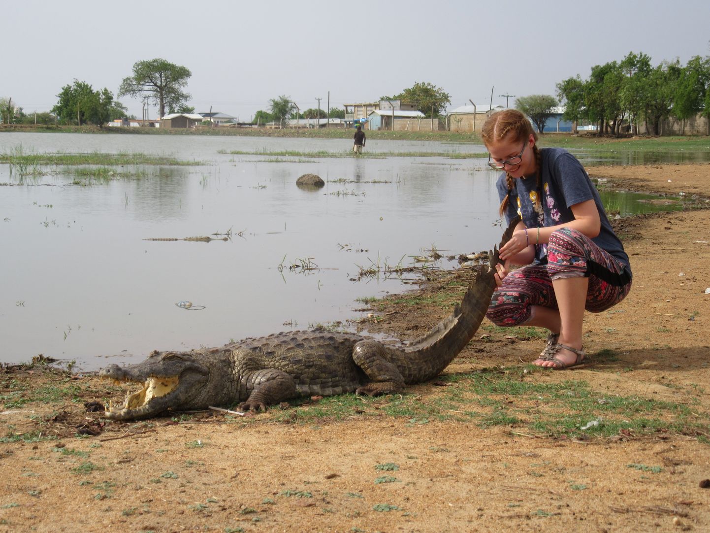 Burkina Faso ja Ghana piiril oleva Paga krokodillitiigi juures sai Margit krokodilli sabast katsuda. «Veidi hirmutav, kuid siiski põnev kogemus,» kinnitas neiu.