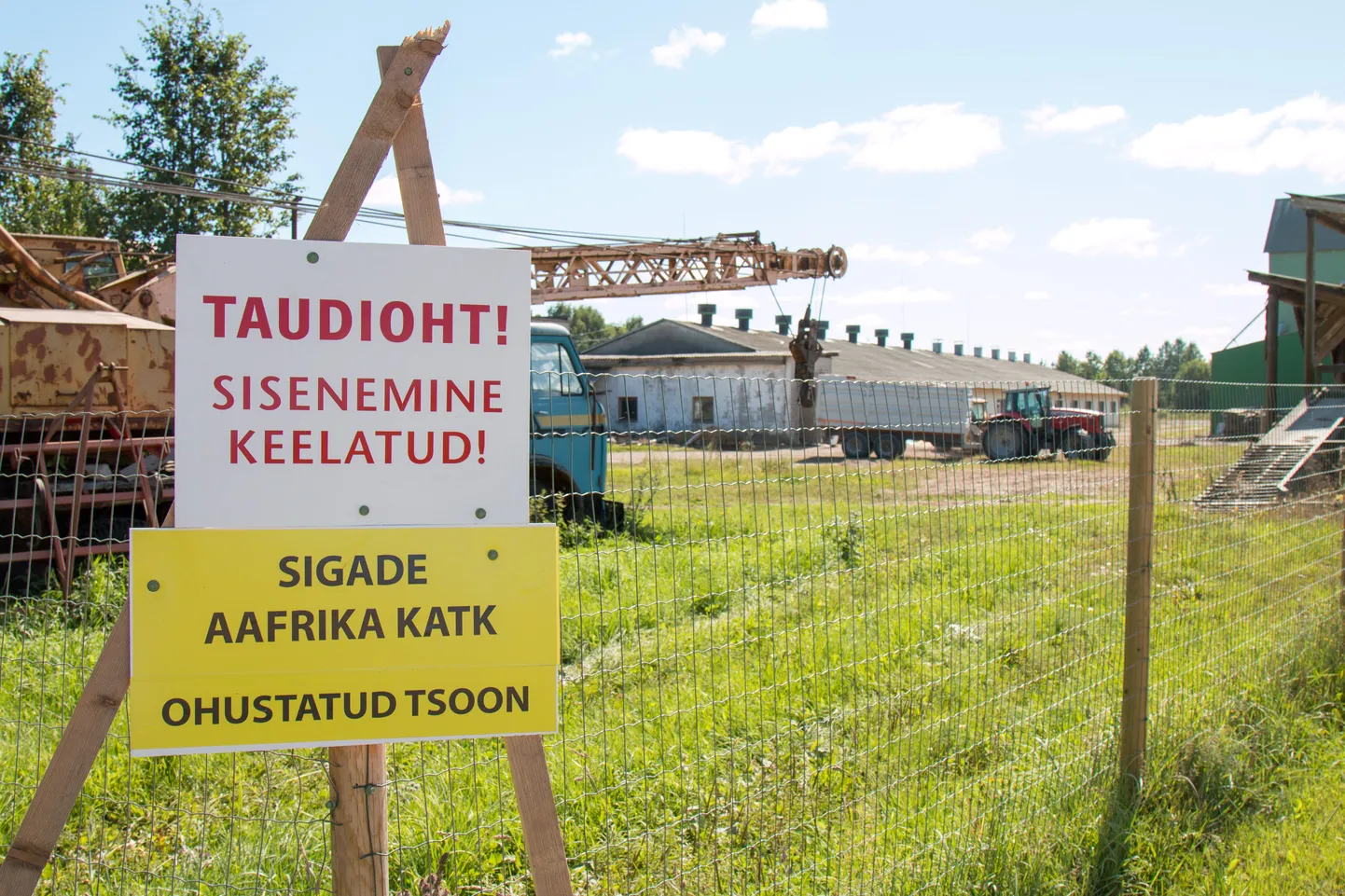 Foto on illustratiivne.