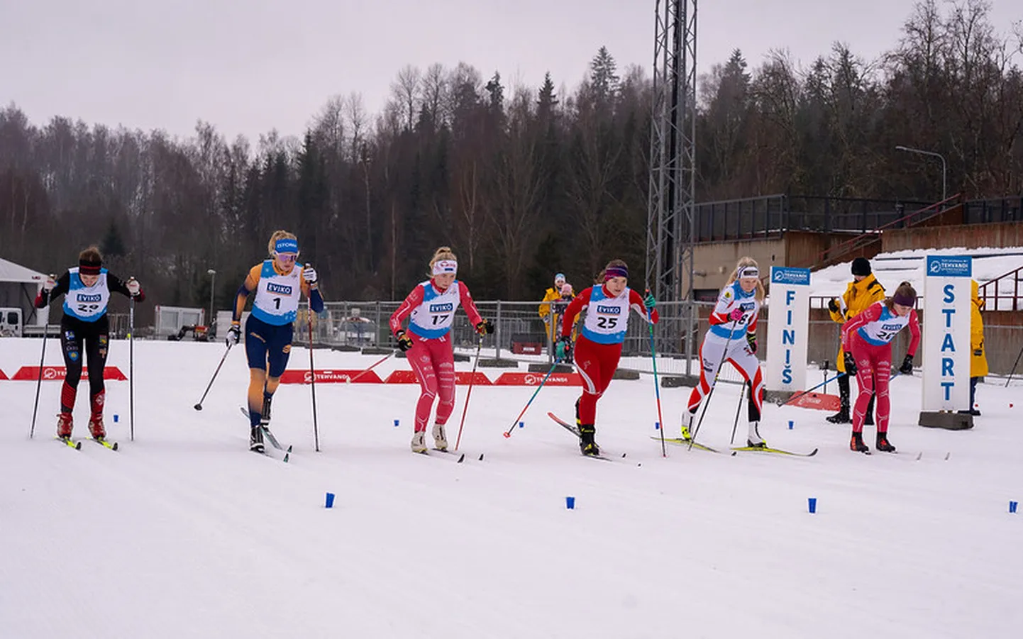 Suusatamise noorte Eesti meistrivõistlused. Pilt on illustreeriv.
