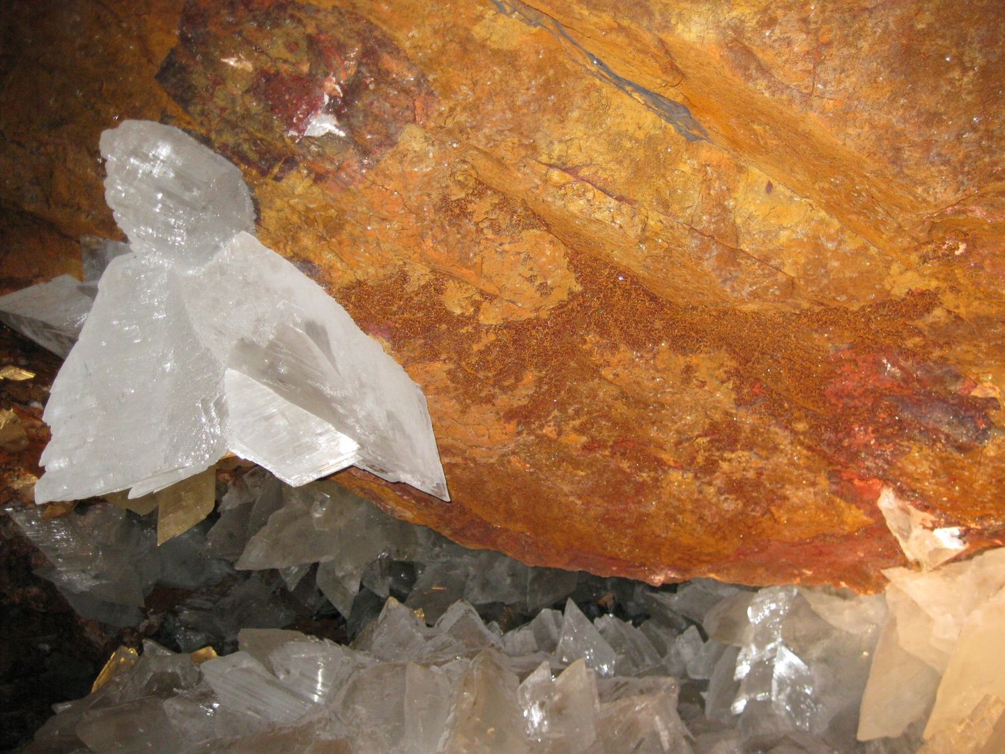 Живущие в кристаллах организмы, по оценкам ученых, находились в изолированном состоянии в течение 10-60 тысяч лет.
