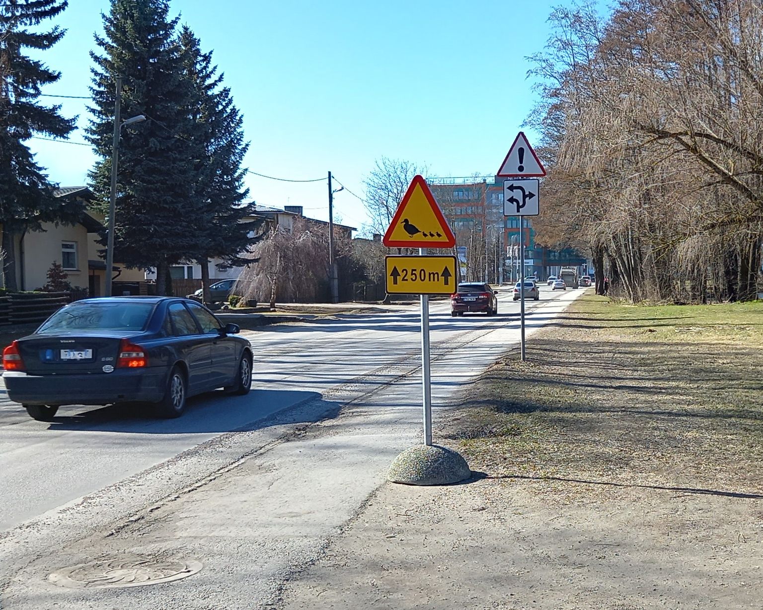 Tallinna linnavõim hoiatab: teedel võivad olla pardid