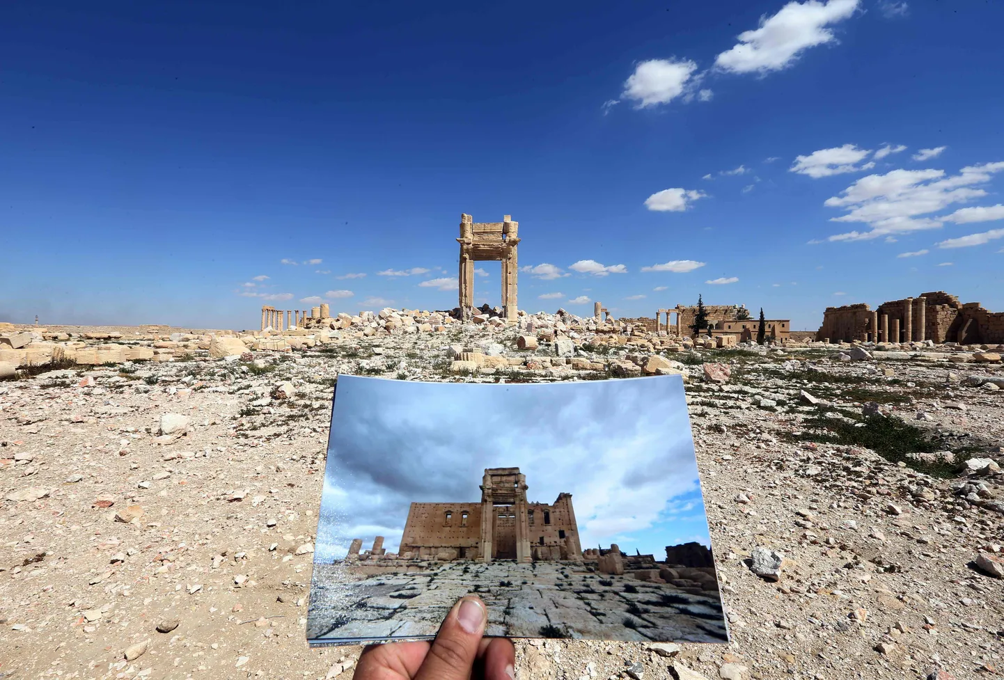 Pildil hoiab fotograaf Joseph Eid käes pilti Beli templist Palmyras, foto on tehtud 2014. aastal. Taustal on tempel kaks aastat hiljem hävinuna.
