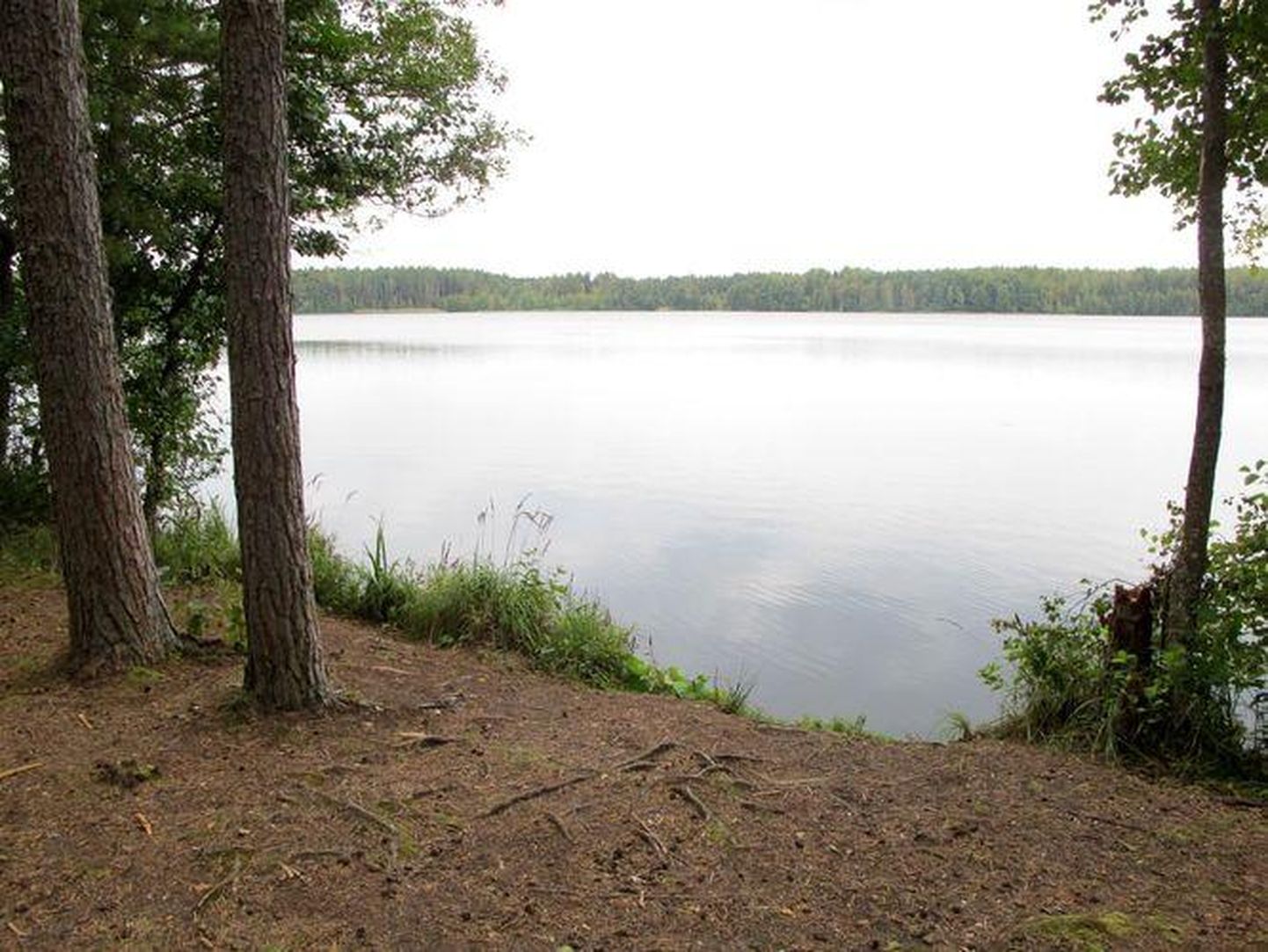 Käsmu järv on erinevalt Üllikjärvest tänaseni alles.