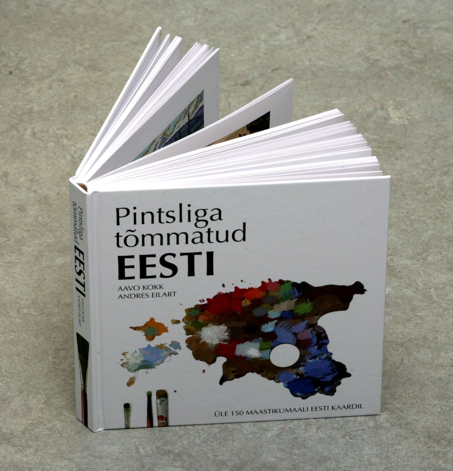 Pildl üks uuemaid raamatuid Eesti kultuurist