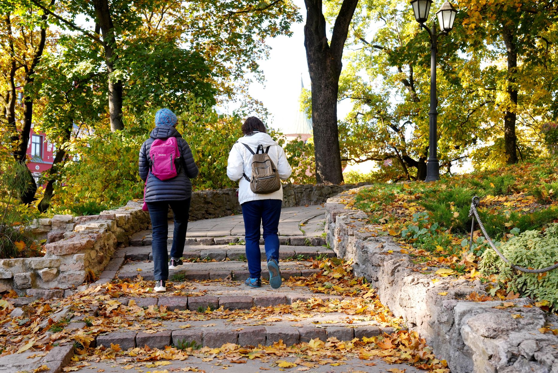 Выявлено 985 новых случаев Covid-19, скончались 6 человек