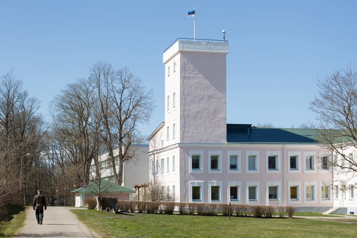 Тойлаская гимназия.