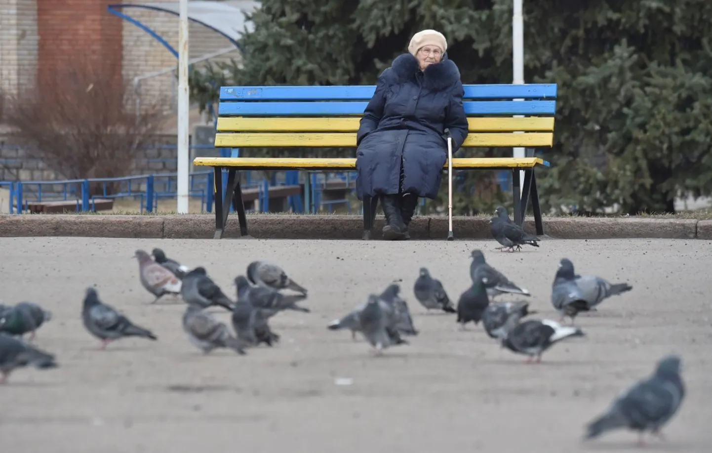 Raksta foto