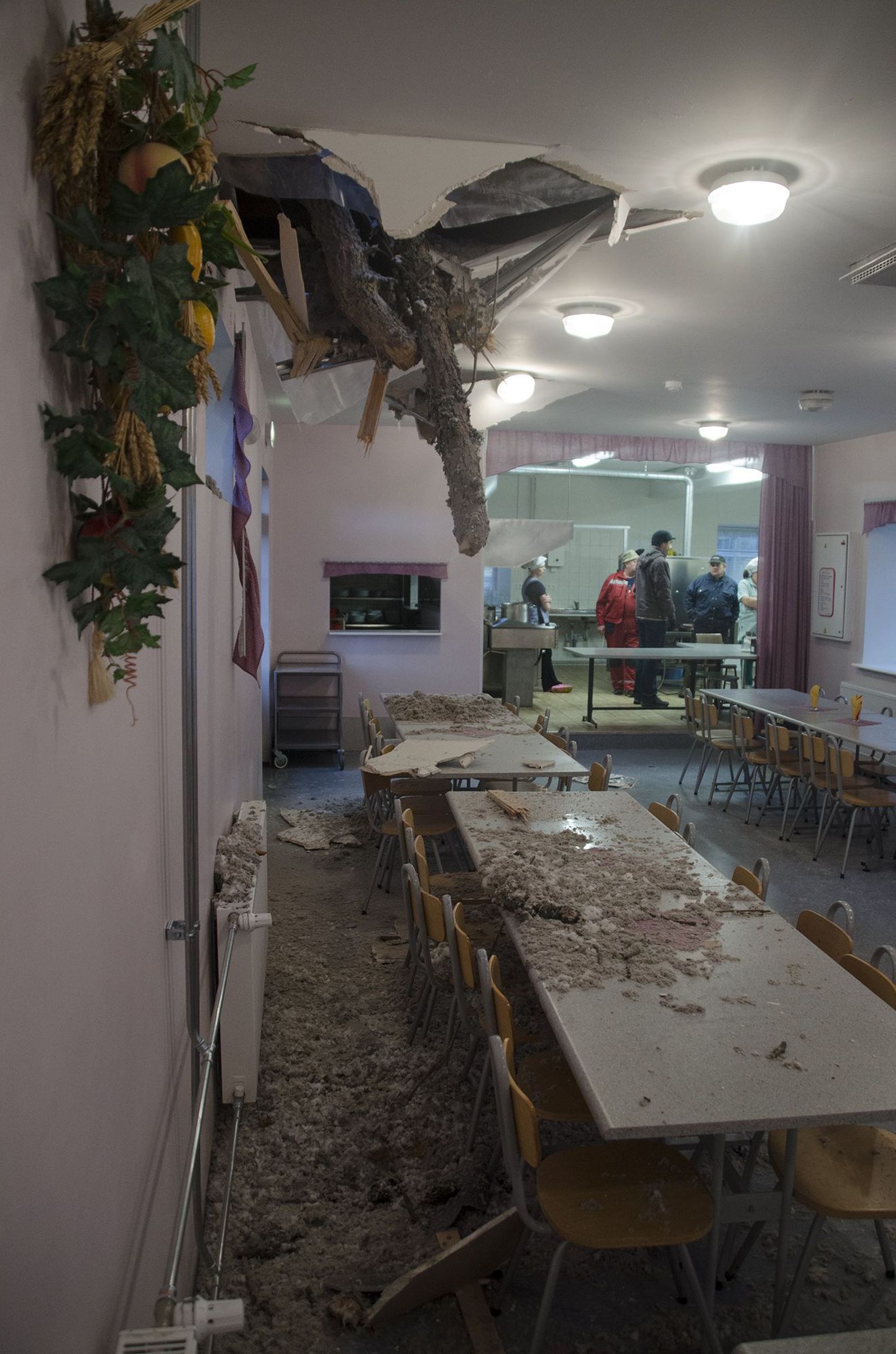 Täna hommikul kukkus Tõstmaa kooli sööklale peale suur puu ja lõhkus hoone lae.