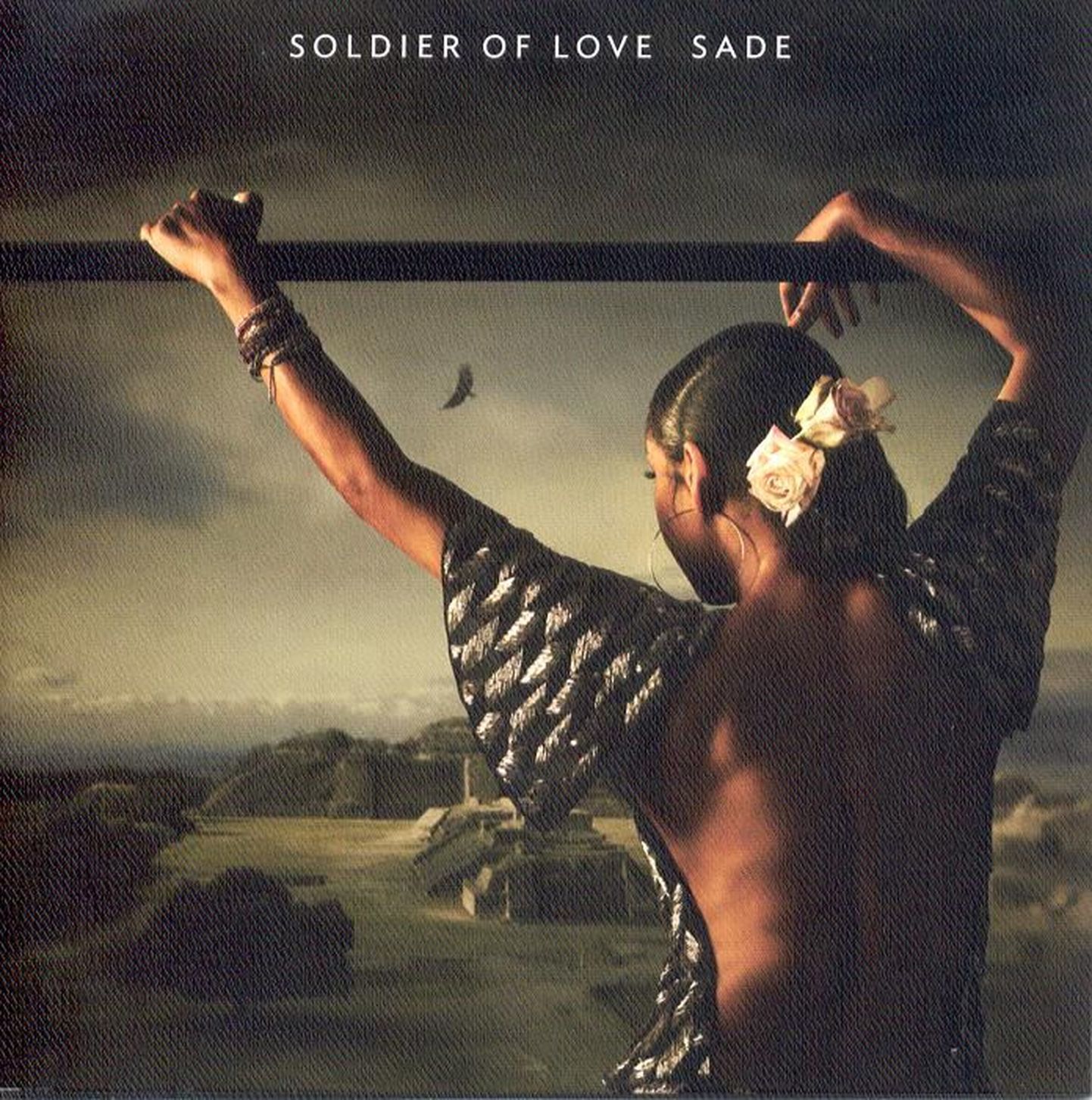 Sade “Soldier of Love”.