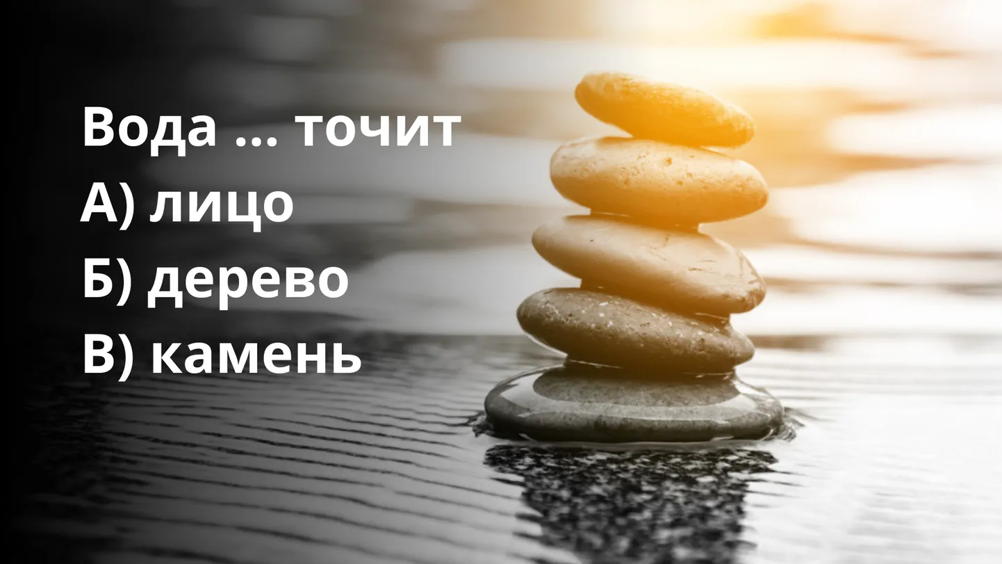 Фото статьи