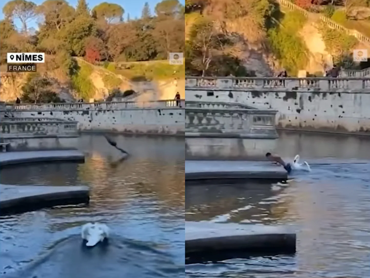 Artikli foto