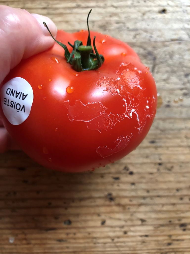 Keefiris leotatud hinnaetiketi liimiga tomat.