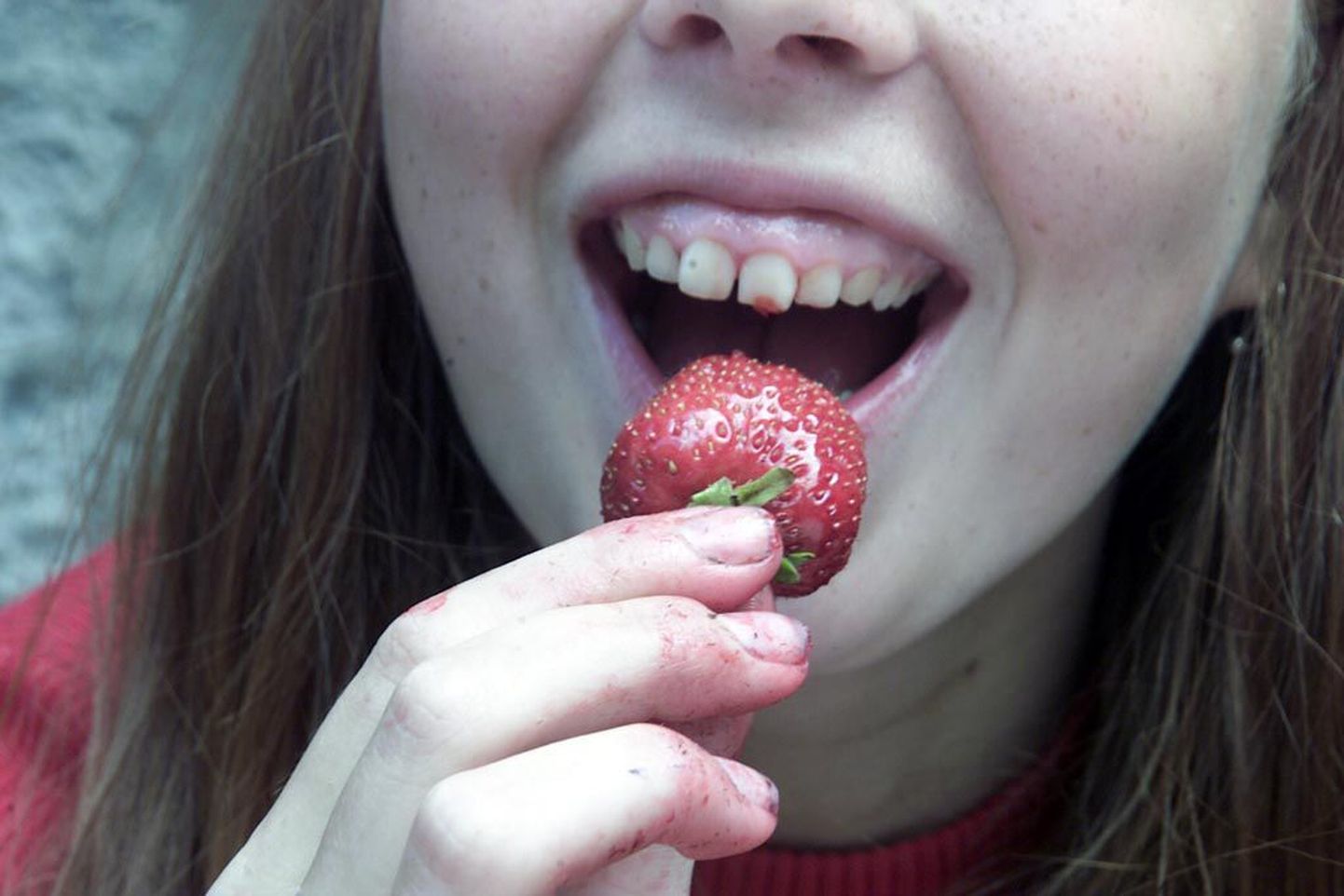 Raud on see, mis maasika inimese jaoks peale meelierutava lõhna ja maitse eriti väärtuslikuks teeb: sööd suvel isu täis ja muudad organismi vastupidavamaks.