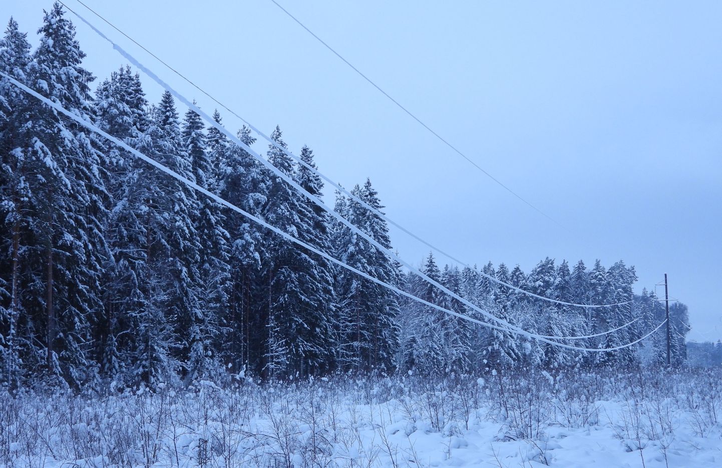 Lume ja jäite raskuse tõttu vajuvad elektriliinid talvel allapoole. See tähendab, et tuleb olla eriti tähelepanelik, sest ohutuskaugus kolm meetrit on omakorda madalamal.