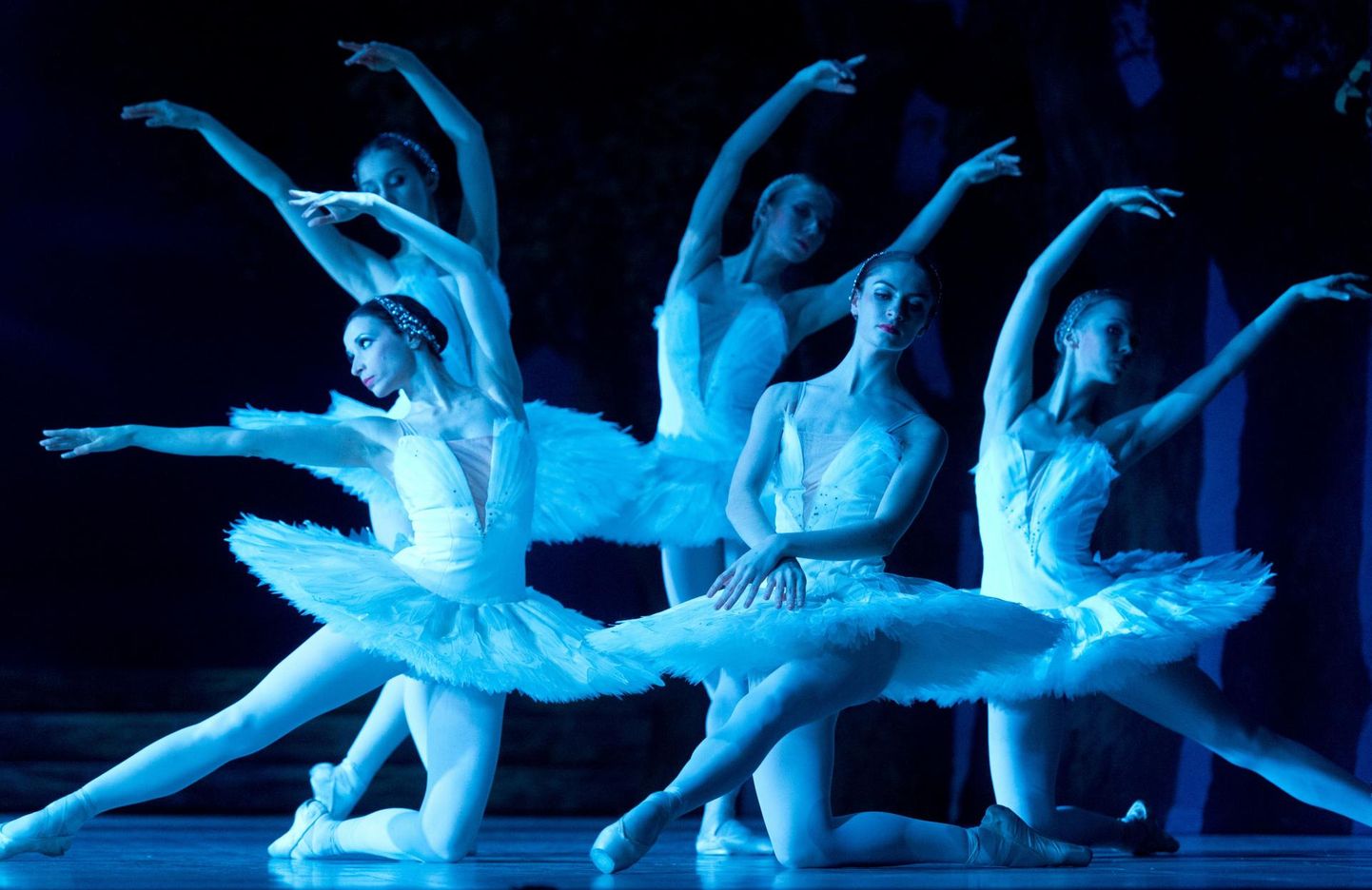 Estonia ballett «Luikede järv» on jätkuvalt menukas.