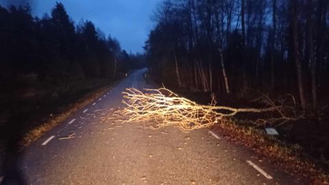 Päästjad kehastusid saemeesteks