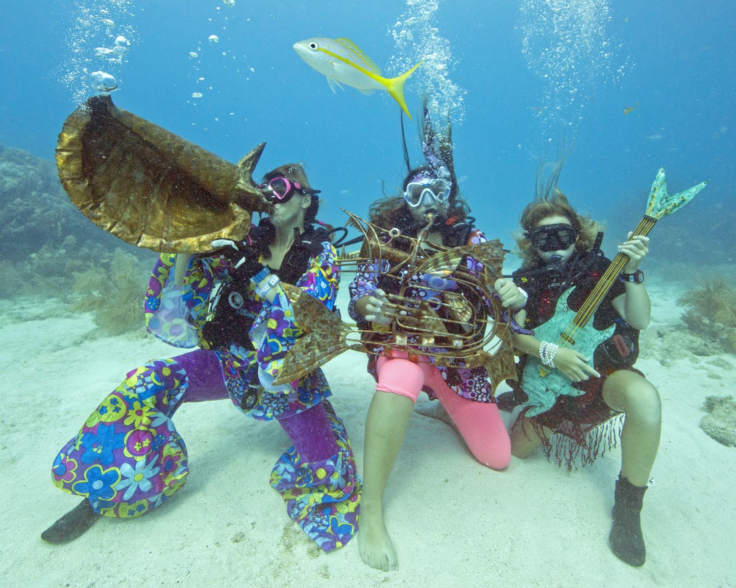 Floridas vee all kontserti andvad muusikud.