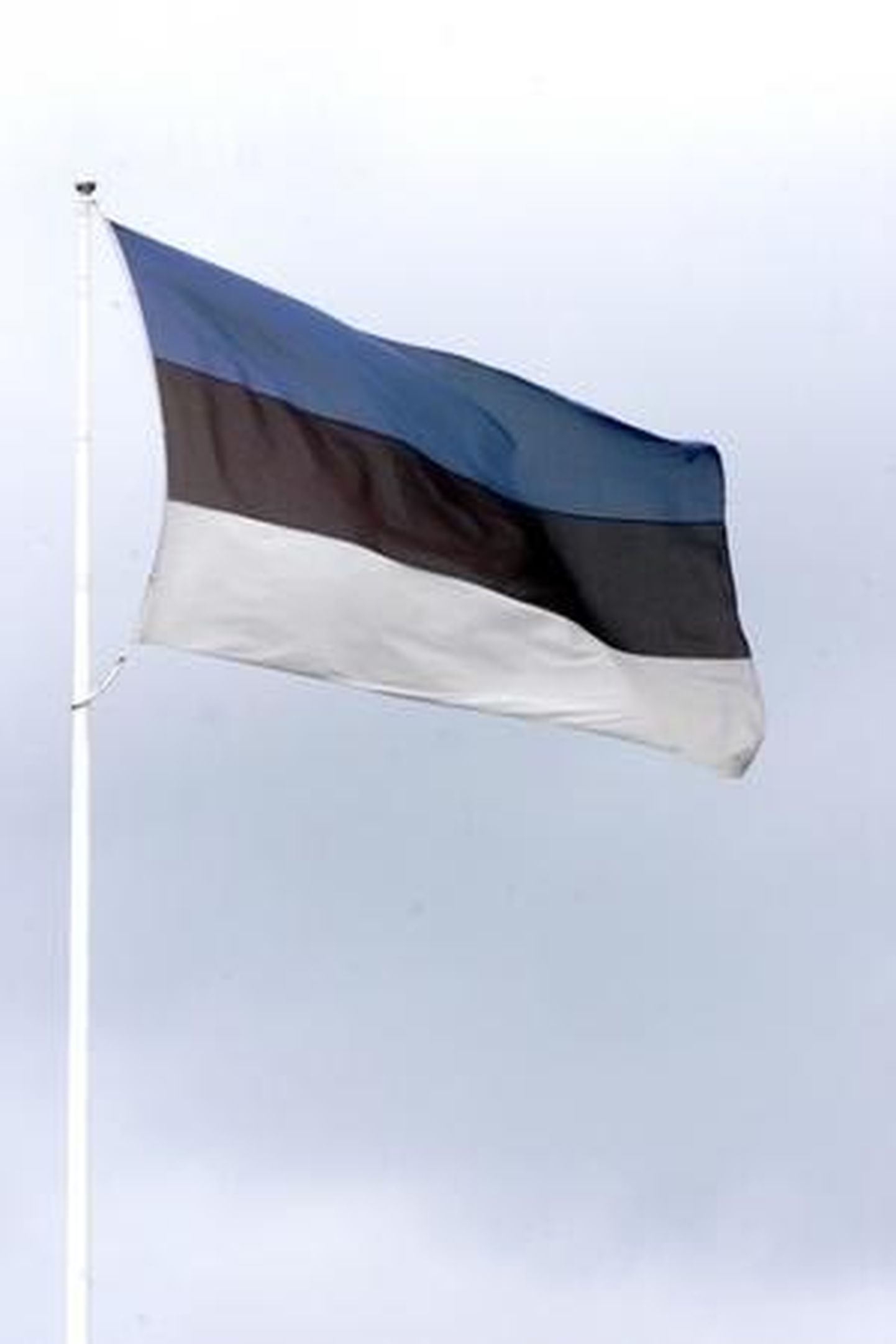 Eesti Vabariigi väljakuulutamise monumendi juures heisatakse pidulikult riigilipp.