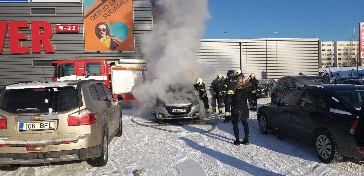 Auto süttis põlema