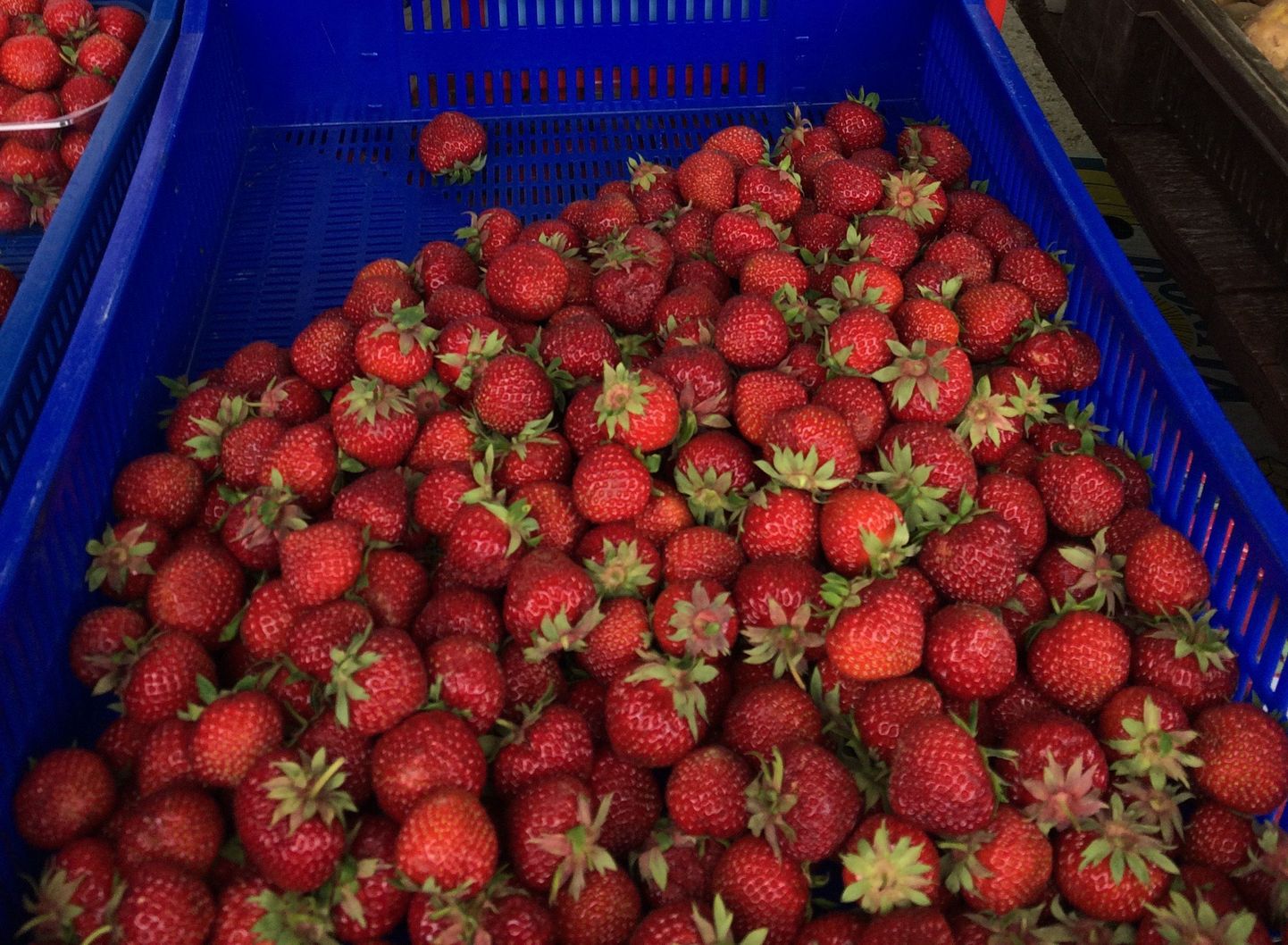 Eesti maasikad Keskturul
