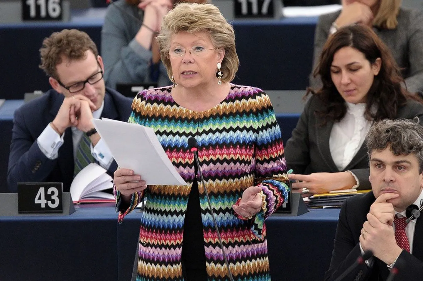 Mõned Euroopa Komisjoni uurimise peale pahased ungarlased on justiitsvolinik Viviane Redingit nimetanud Euroopa pitbull’iks.