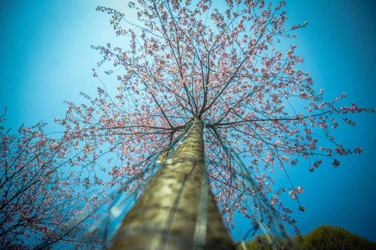Фото статьи